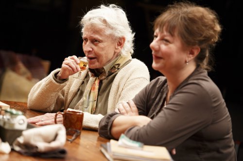 Robert Maxwell and Amy Warren in a scene from Richard Nelson’s “What Did You Expect?,” Play 2 of “The Gabriels: Election Year in the Life of One Family” (Photo credit: Joan Marcus)