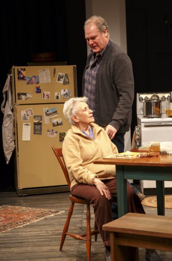 Roberta Maxwell and Jay O. Sanders in Richard Nelson’s “Women of a Certain Age, Play 3 of "The Gabriels: Election Year in the Life of One Family” (Photo credit: Joan Marcus)